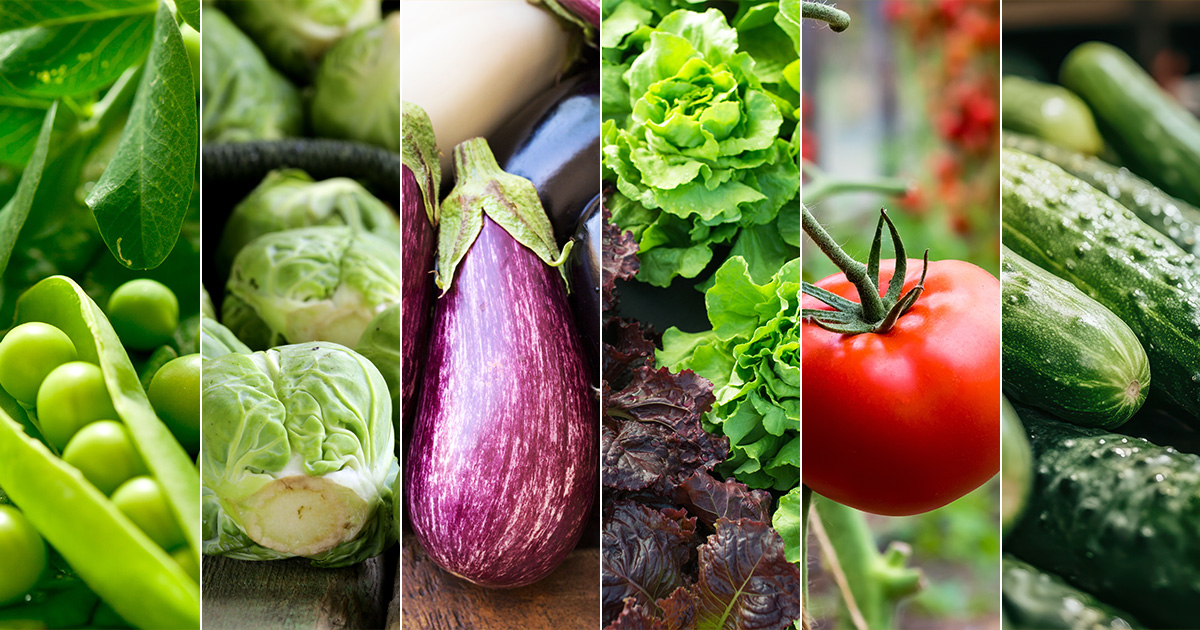 A close-up collage of fresh vegetables—green peas, brussels sprouts, eggplant, lettuce, tomatoes, and cucumbers—showcasing vibrant colors and garden freshness.